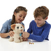 FurReal Friends Pax My Poopin Pup Plush Toy (Amazon Exclusive)