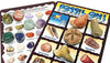 FOSSIL ON! Game with Fossil, Rock & Mineral Collection