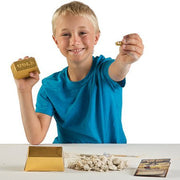 Dig for Real Gold by Discover with Dr. Cool