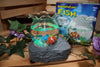 Rittle Pet Fish Aquarium