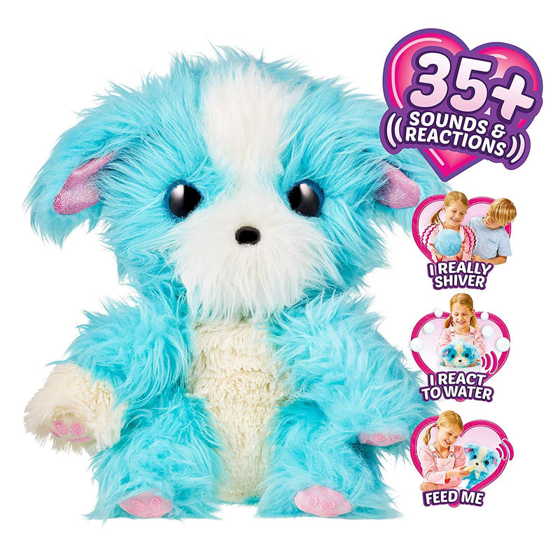 Little Live Pets Scruff-a-Luvs Babies - All New Sparkly Characters - Mini Collectible Plush Scruff-a-Luvs -Styles May Vary